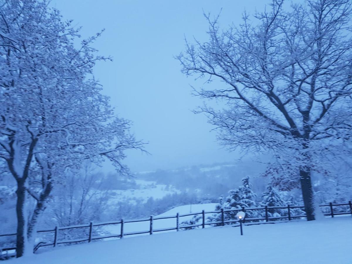 Casa Vacanze Fattoria Il Cerro Villa Pianelleto ภายนอก รูปภาพ