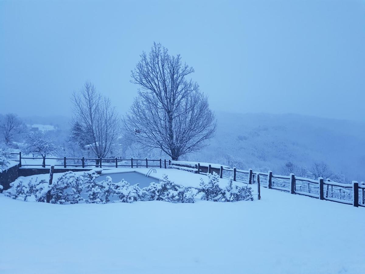 Casa Vacanze Fattoria Il Cerro Villa Pianelleto ภายนอก รูปภาพ