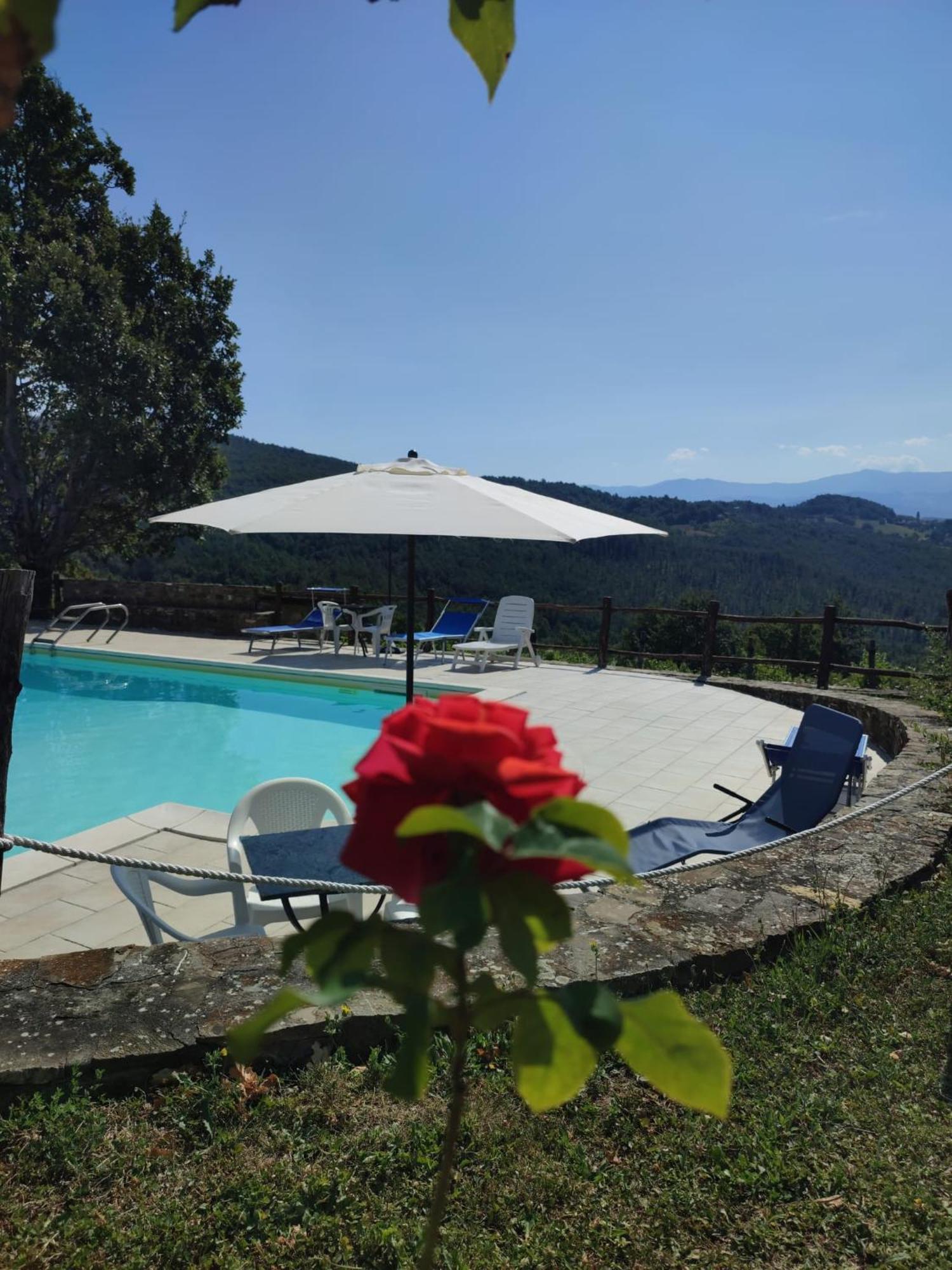 Casa Vacanze Fattoria Il Cerro Villa Pianelleto ภายนอก รูปภาพ